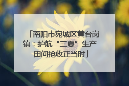 南阳市宛城区黄台岗镇：护航“三夏”生产 田间抢收正当时