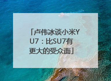卢伟冰谈小米YU7：比SU7有更大的受众面