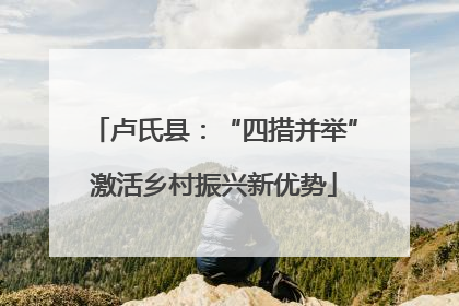 卢氏县：“四措并举”激活乡村振兴新优势