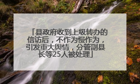 县政府收到上级转办的信访后，不作为慢作为，引发重大舆情，分管副县长等25人被处理