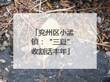 兖州区小孟镇：“三夏”收割话丰年