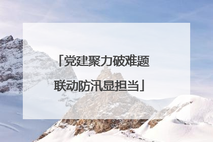 党建聚力破难题 联动防汛显担当