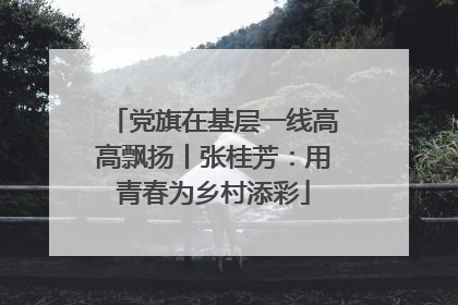 党旗在基层一线高高飘扬丨张桂芳：用青春为乡村添彩