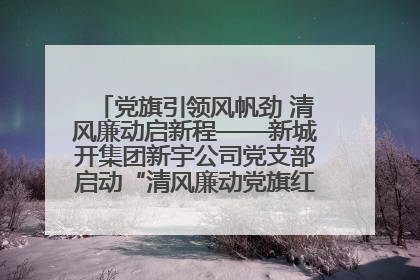 党旗引领风帆劲 清风廉动启新程——新城开集团新宇公司党支部启动“清风廉动党旗红”系列活动