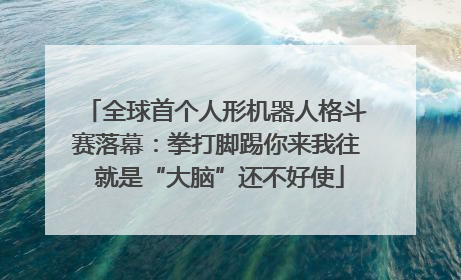 全球首个人形机器人格斗赛落幕：拳打脚踢你来我往 就是“大脑”还不好使