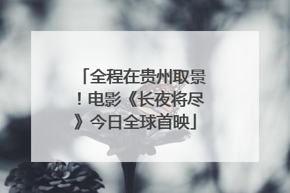 全程在贵州取景！电影《长夜将尽》今日全球首映