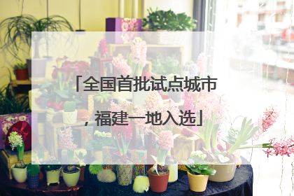 全国首批试点城市，福建一地入选