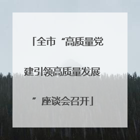 全市“高质量党建引领高质量发展”座谈会召开