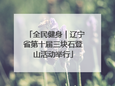 全民健身｜辽宁省第十届三块石登山活动举行