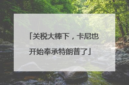 关税大棒下，卡尼也开始奉承特朗普了