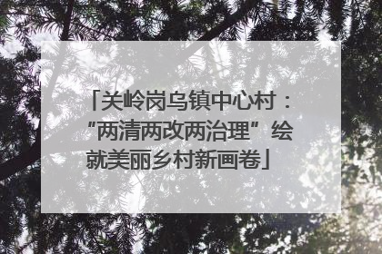 关岭岗乌镇中心村：“两清两改两治理”绘就美丽乡村新画卷