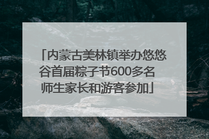 内蒙古美林镇举办悠悠谷首届粽子节600多名师生家长和游客参加