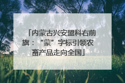 内蒙古兴安盟科右前旗：“蒙”字标引领农畜产品走向全国