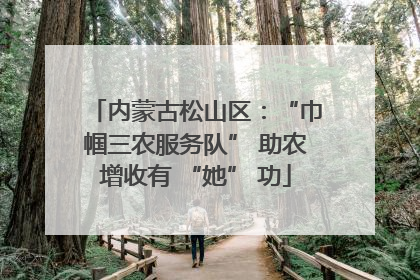 内蒙古松山区：“巾帼三农服务队” 助农增收有 “她” 功