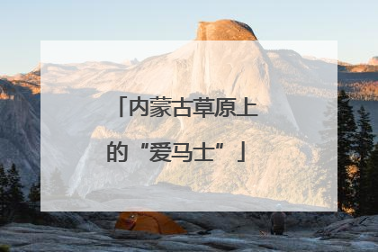 内蒙古草原上的“爱马士”