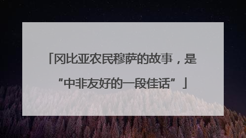 冈比亚农民穆萨的故事，是“中非友好的一段佳话”