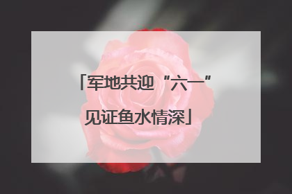 军地共迎“六一” 见证鱼水情深