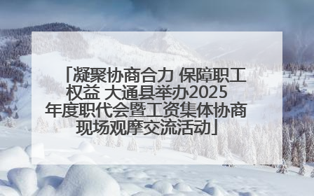 凝聚协商合力 保障职工权益 大通县举办2025年度职代会暨工资集体协商现场观摩交流活动