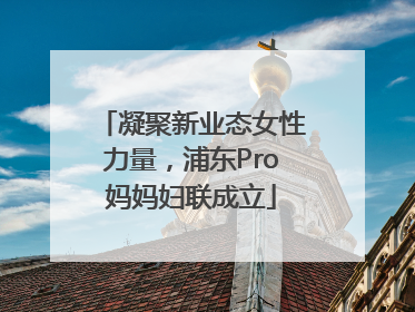 凝聚新业态女性力量，浦东Pro妈妈妇联成立