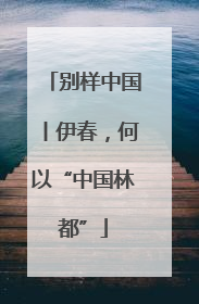 别样中国丨伊春，何以“中国林都”