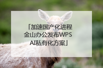 加速国产化进程 金山办公发布WPS AI私有化方案