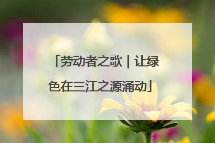 劳动者之歌｜让绿色在三江之源涌动