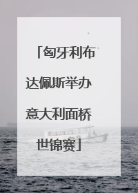 匈牙利布达佩斯举办意大利面桥世锦赛