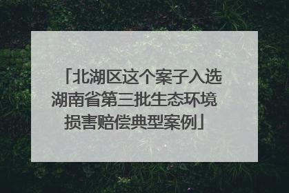 北湖区这个案子入选湖南省第三批生态环境损害赔偿典型案例