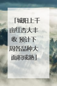城阳上千亩红杏大丰收 预计下周各品种大面积成熟