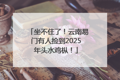 坐不住了！云南易门有人捡到2025年头水鸡枞！