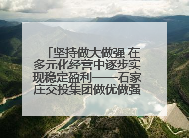 坚持做大做强 在多元化经营中逐步实现稳定盈利——石家庄交投集团做优做强典型报道之三