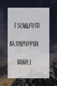 吴毓舟带队到西坪镇调研