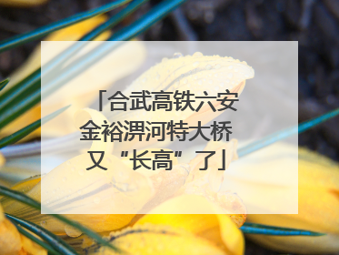合武高铁六安金裕淠河特大桥又“长高”了