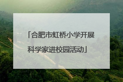 合肥市虹桥小学开展科学家进校园活动