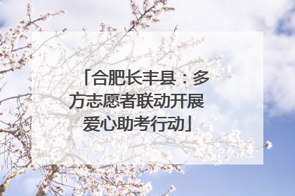 合肥长丰县：多方志愿者联动开展爱心助考行动