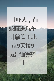 吓人，有蛇藏进汽车引擎盖！北京9天接9起“蛇警”