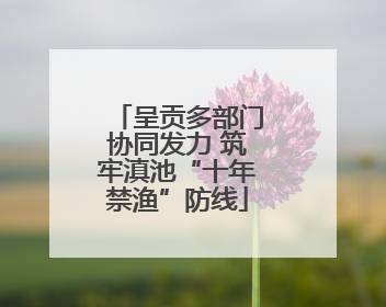 呈贡多部门协同发力 筑牢滇池“十年禁渔”防线