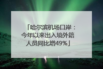 哈尔滨机场口岸：今年以来出入境外籍人员同比增49%