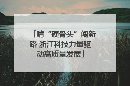 啃“硬骨头”闯新路 浙江科技力量驱动高质量发展