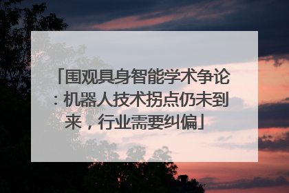 围观具身智能学术争论：机器人技术拐点仍未到来，行业需要纠偏