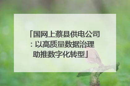 国网上蔡县供电公司：以高质量数据治理 助推数字化转型