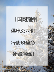 国网荆州供电公司进行防恐应急处置演练