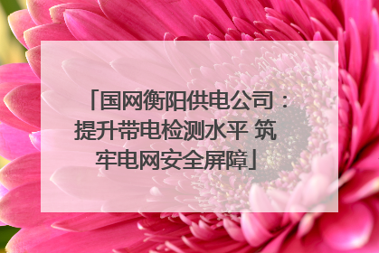 国网衡阳供电公司：提升带电检测水平 筑牢电网安全屏障