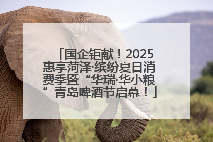 国企钜献！2025惠享菏泽·缤纷夏日消费季暨“华瑞·华小粮”青岛啤酒节启幕！