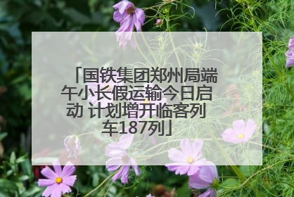 国铁集团郑州局端午小长假运输今日启动 计划增开临客列车187列