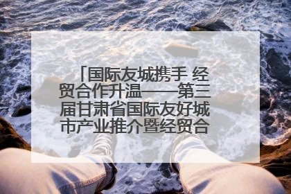 国际友城携手 经贸合作升温——第三届甘肃省国际友好城市产业推介暨经贸合作对接活动特写