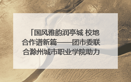 国风雅韵润亭城 校地合作谱新篇——团市委联合滁州城市职业学院助力传统文化“破圈”绽放