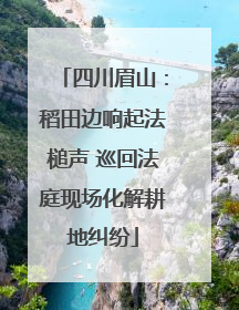四川眉山：稻田边响起法槌声 巡回法庭现场化解耕地纠纷