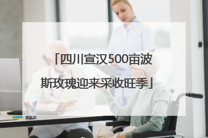 四川宣汉500亩波斯玫瑰迎来采收旺季