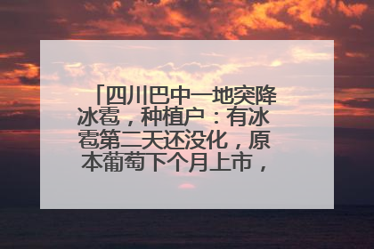 四川巴中一地突降冰雹，种植户：有冰雹第二天还没化，原本葡萄下个月上市，现在全被打落